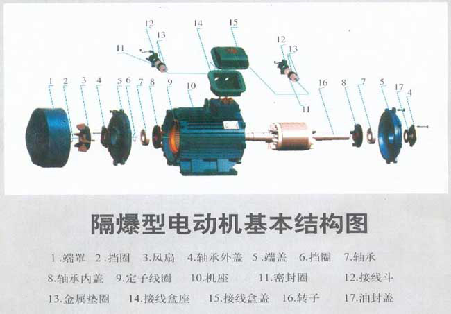 防爆電機結(jié)構圖解及接線實物圖